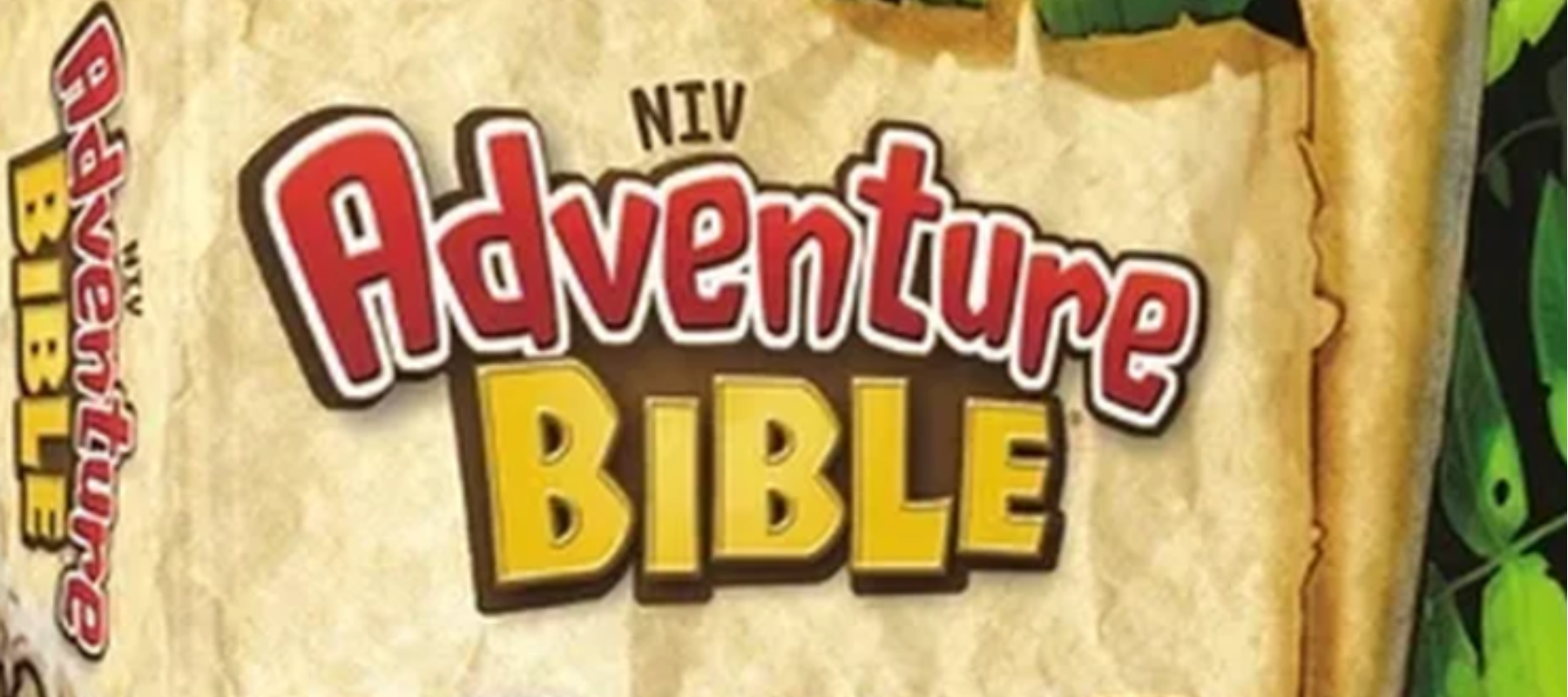 Says NIV Adventure Bible with several colors