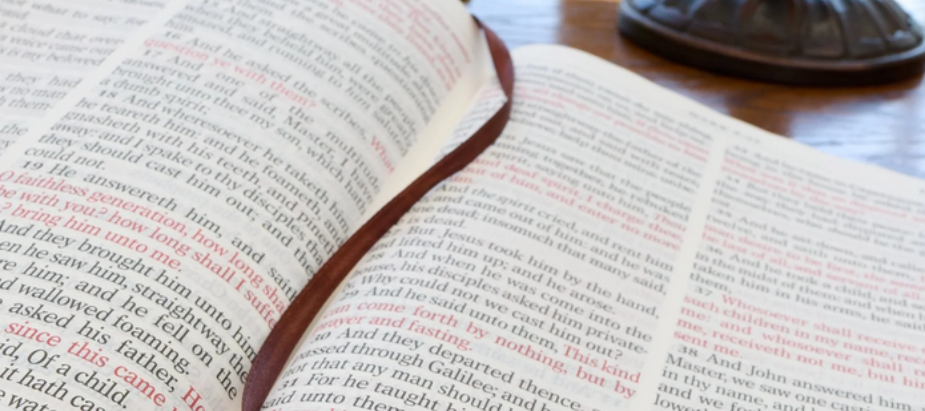 Variety of basic and study Bibles