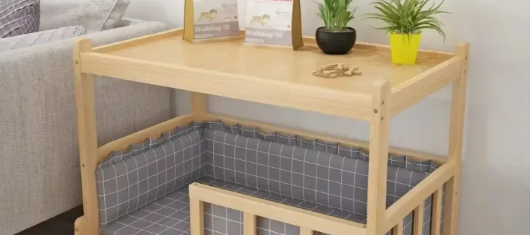 Dog on a elevated dog bed product - DogBox