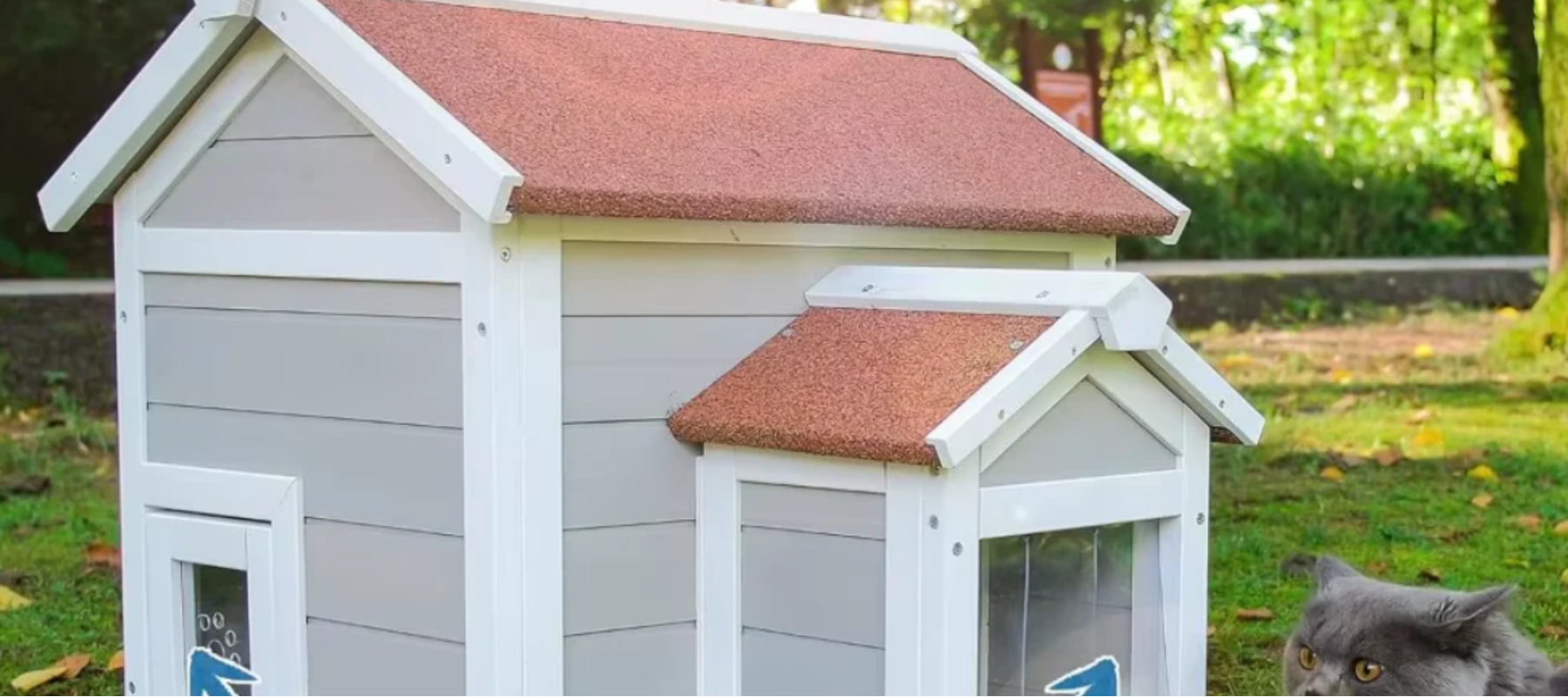 Outdoor cat house with cat - DogBox