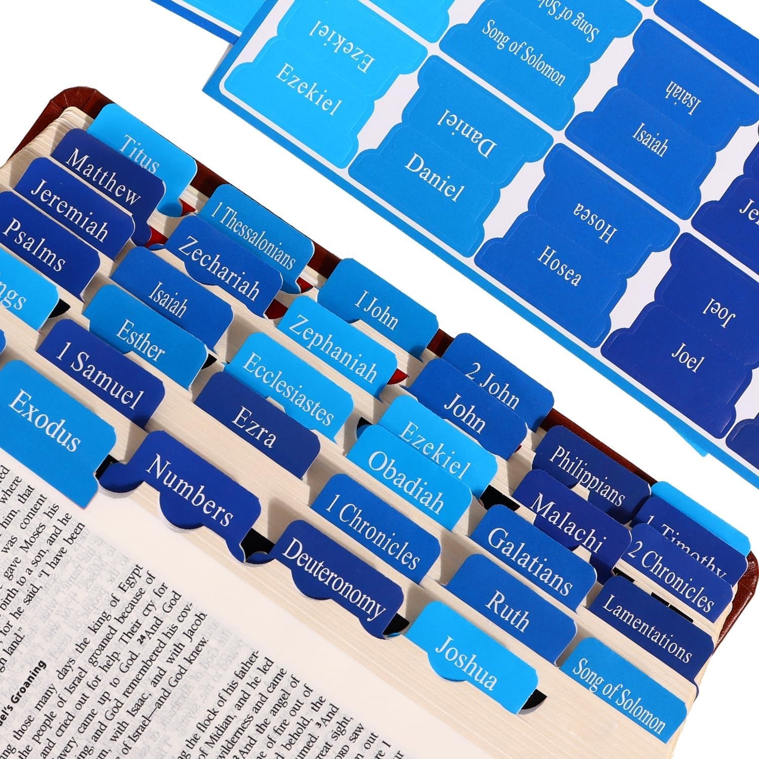 Blue Bible Tabs for Men'S Bible Studies & Small Groups, Large Print Tabs Fits NI