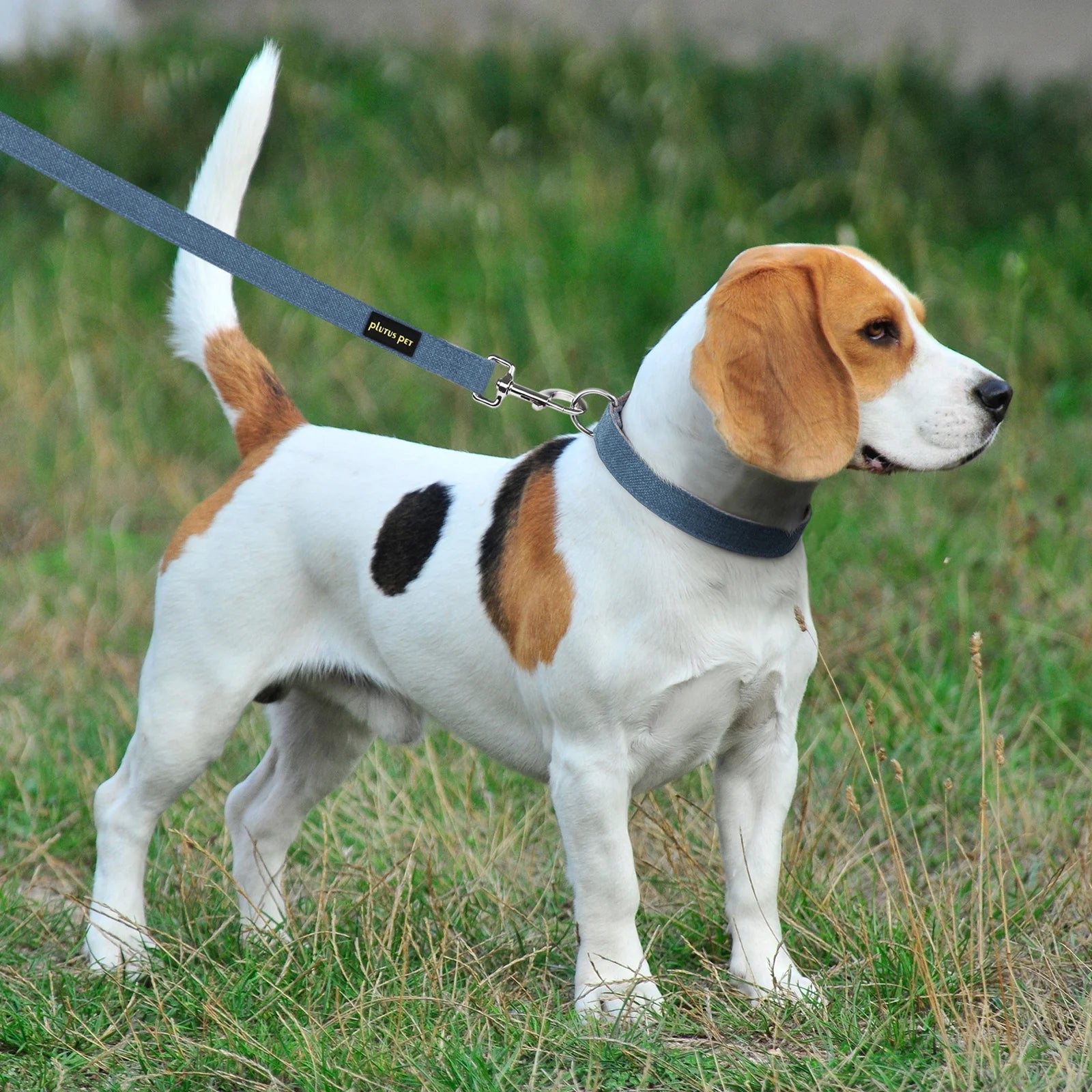 Cotton Hemp Dog Collar and Leash Set, Adjustable Collar for Small, Medium, and Large Dogs, Heavy Duty and Soft on Skin, Haze Blue, S