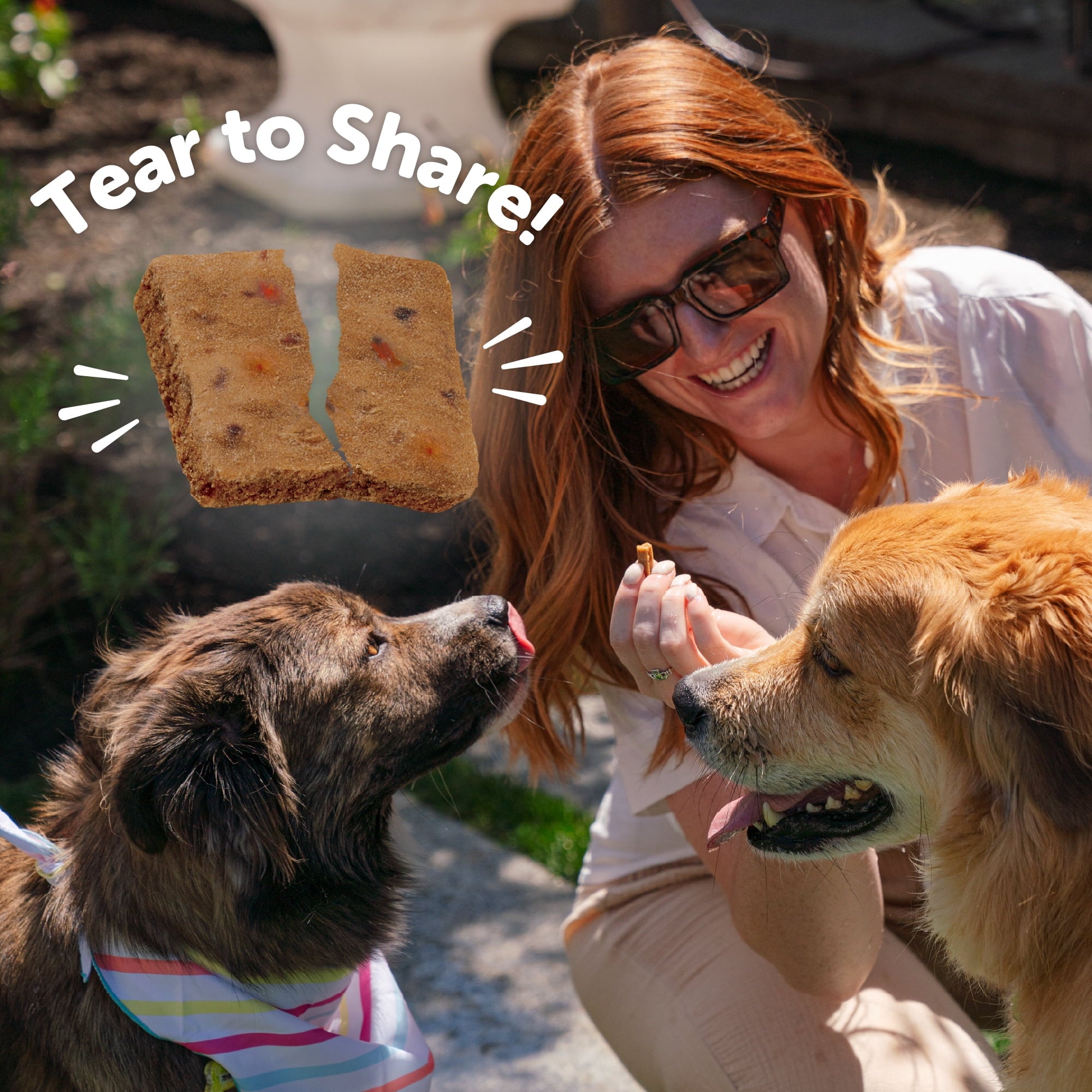 Rewarding Life Dog Treats, Natural, Training Treat, Grain Free, Soft Chicken & Venison (6 Ounce Bag)