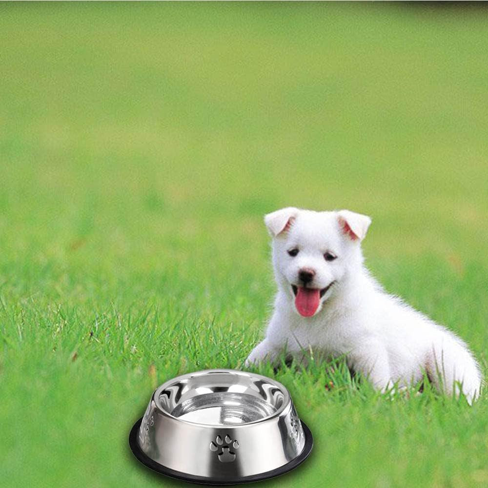 2 Stainless Steel Dog Bowls, Puppy Kitten Feeding Bowls, Shallow Cat Dish with Rubber Base, Mini and Small Pet Feeder Food Water Plate (S-11Oz)