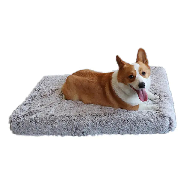 Plush Washable Dog Bed for Comfort