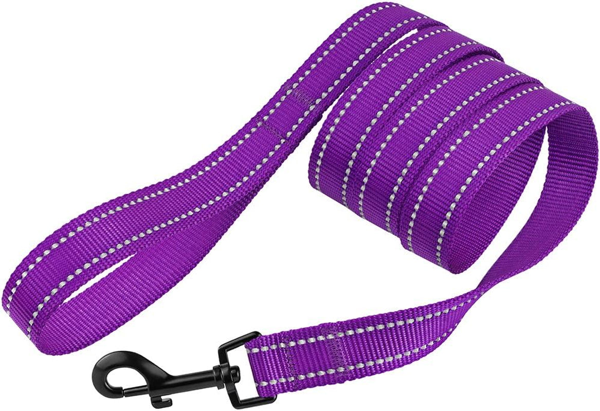 Nylon Dog Leash 5Ft for Daily Outdoor Walking Running Training Heavy Duty Reflective Pet Leashes for Large, Medium & Small Dogs (M, Purple)