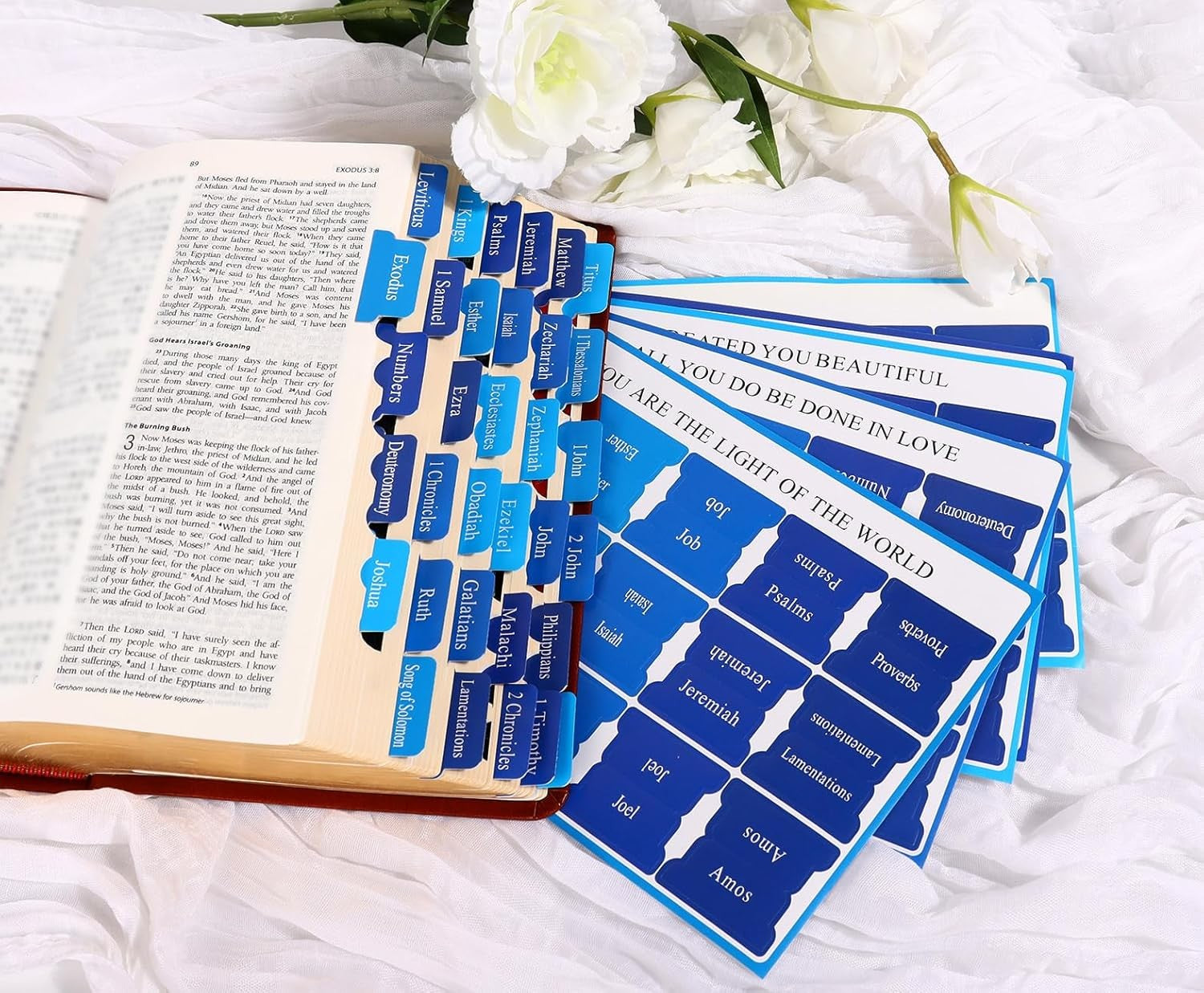 Blue Bible Tabs for Men'S Bible Studies & Small Groups, Large Print Tabs Fits NI