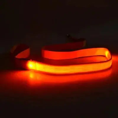LED Dog Leash Rope Keep your furry friend safe and stylish during the nighttime