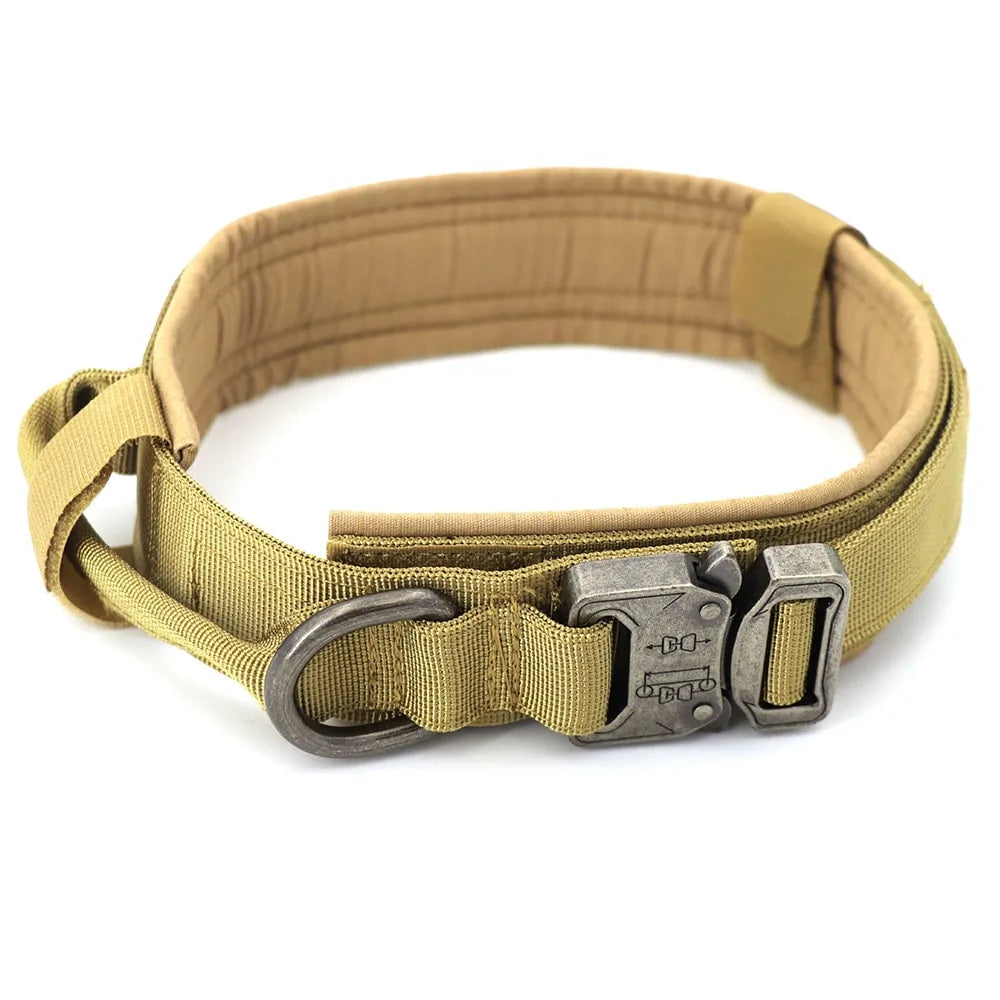 Nylon material, our heavy-duty Dog Collar.