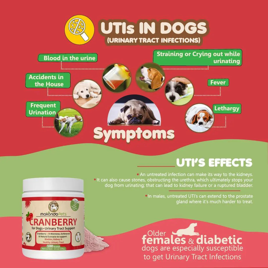 Dog Cranberry Supplement, Natural Dog UTI Treatment & Kidney Support for Dogs