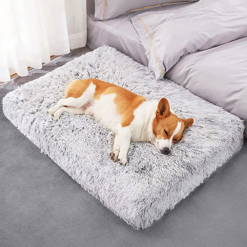 Plush Washable Dog Bed for Comfort
