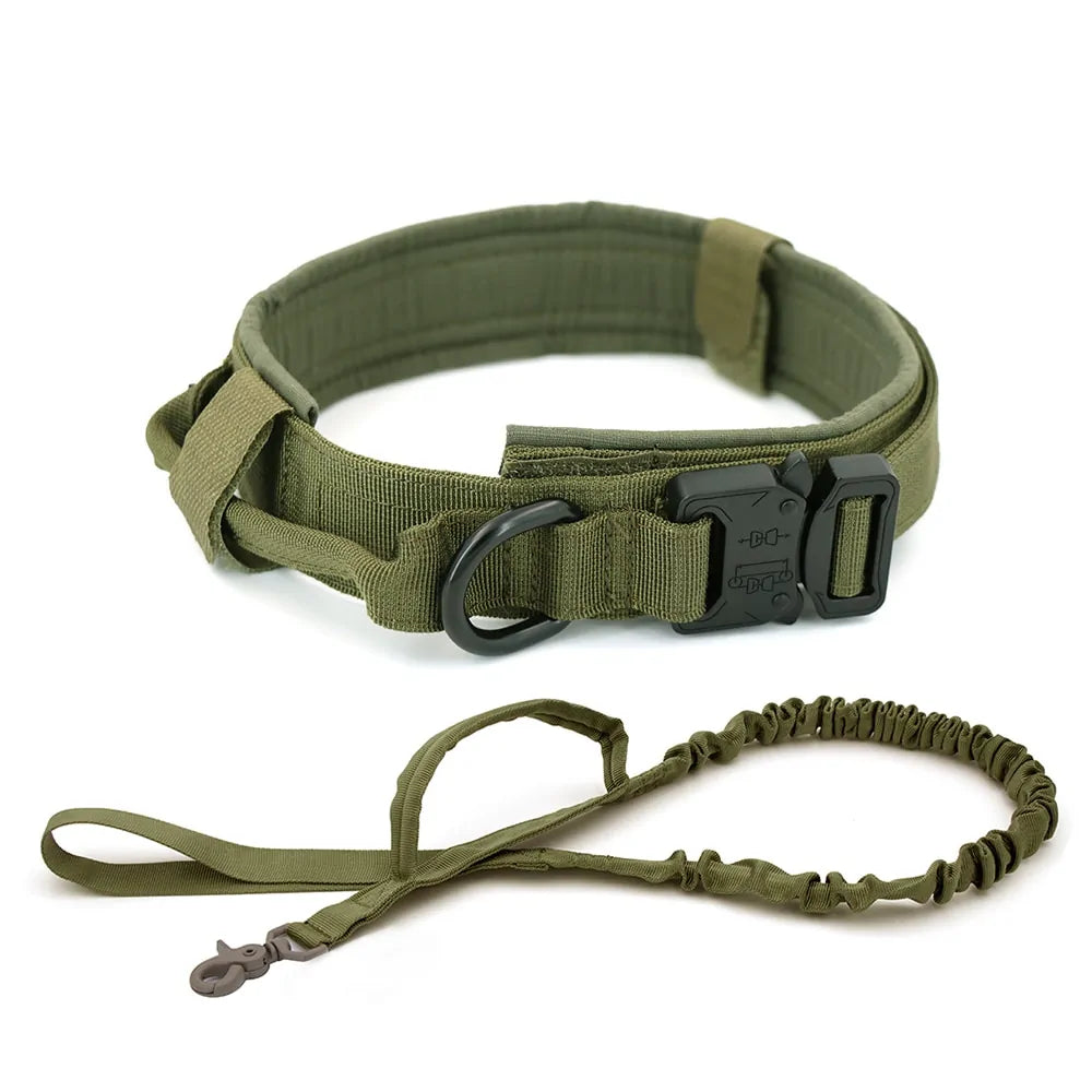 Nylon material, our heavy-duty Dog Collar.