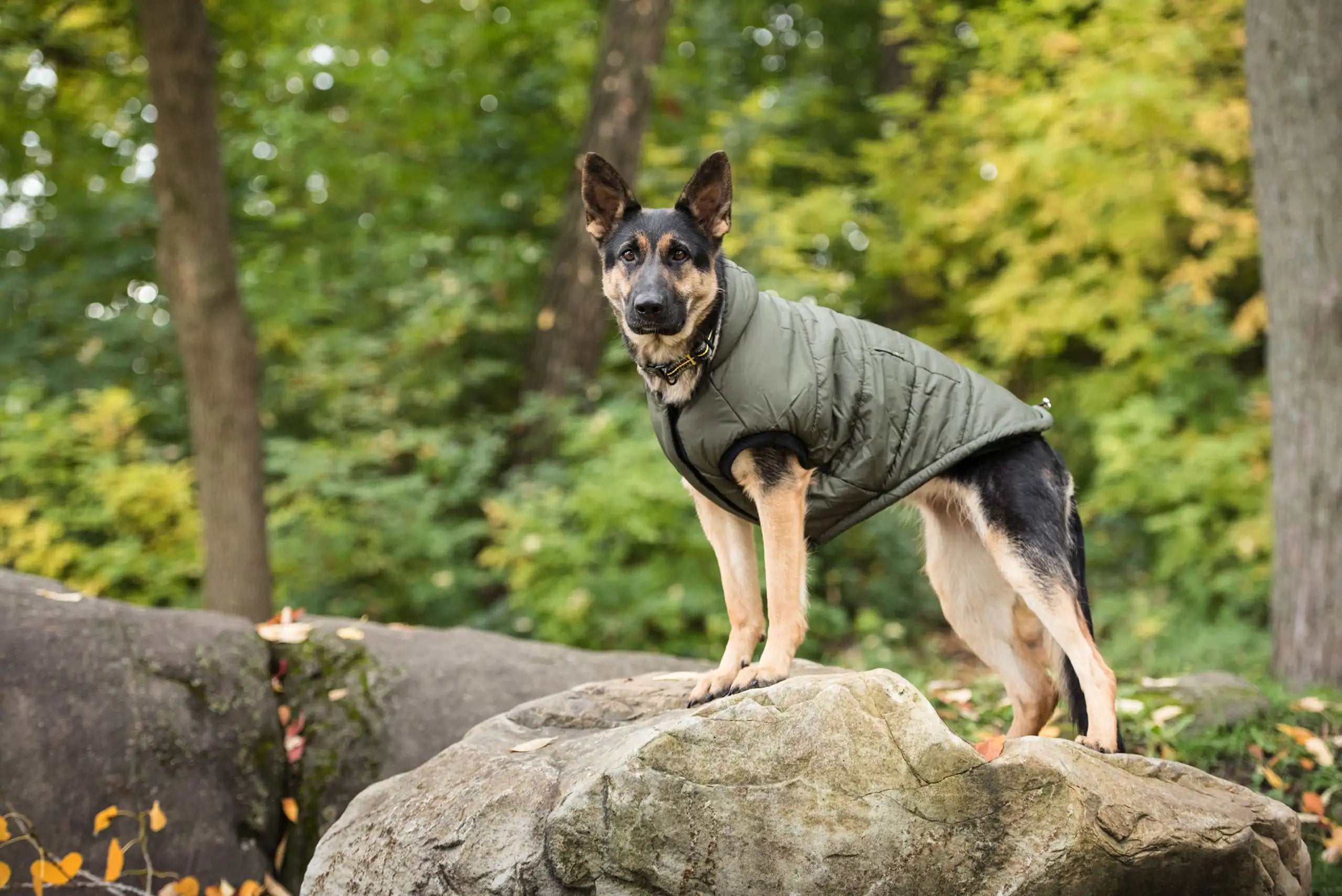 Dark Camo Army Dog Parka with Logo