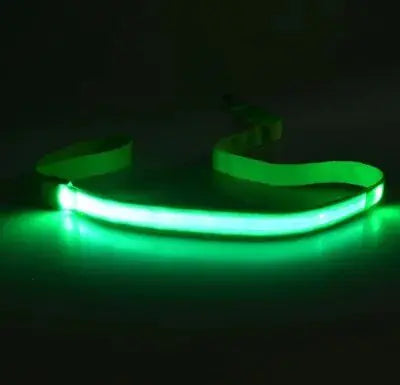 LED Dog Leash Rope Keep your furry friend safe and stylish during the nighttime