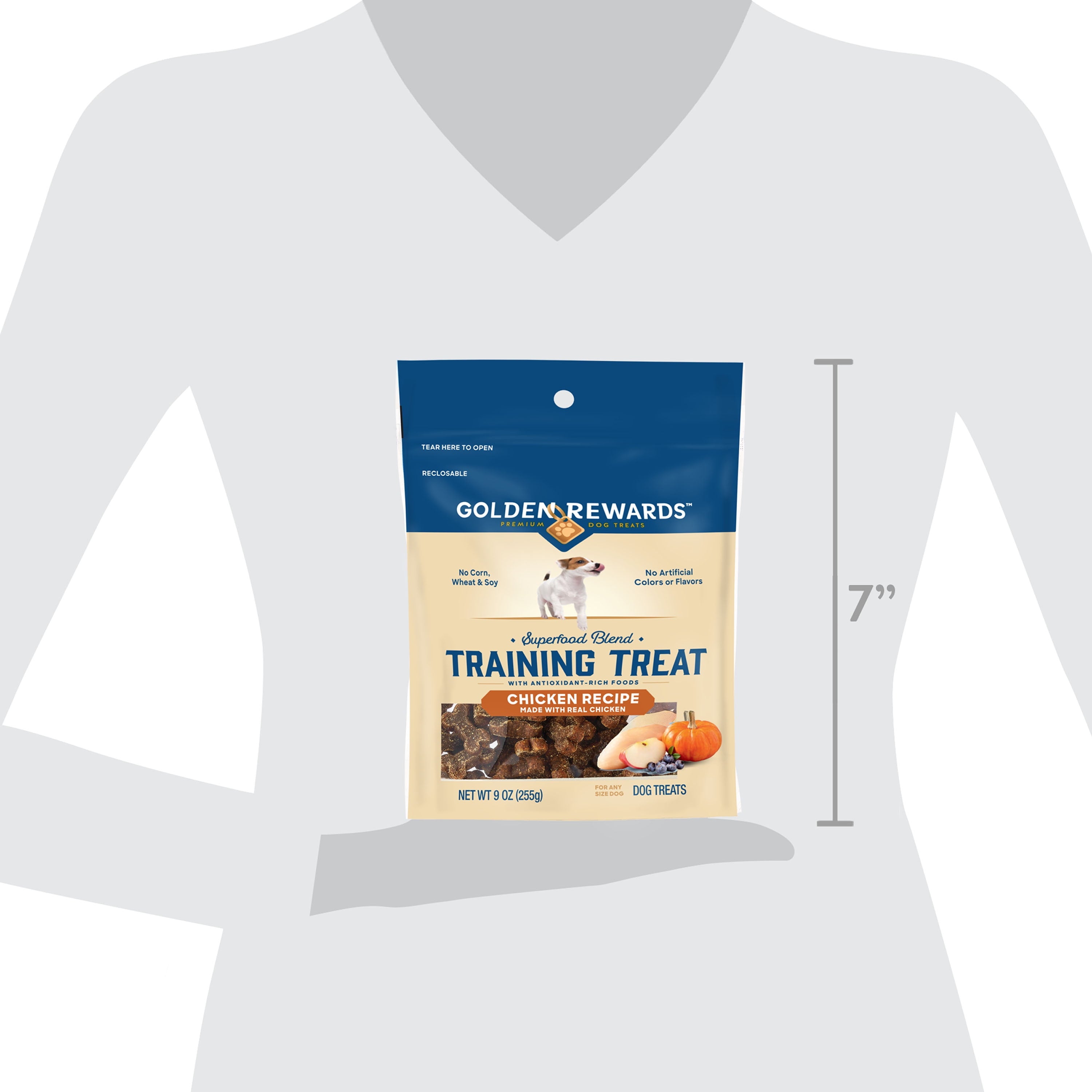 Chicken Recipe Training Treat Dog Treats, 9 Oz
