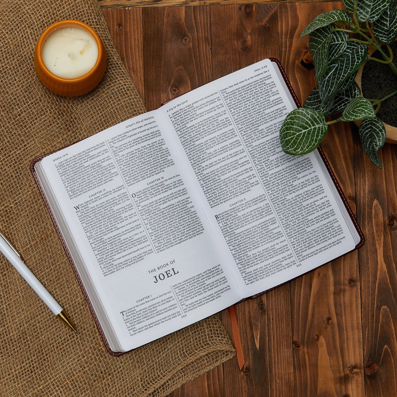 KJV, Deluxe Gift Bible, Imitation Leather, Black, Red Letter Edition (Hardcover)