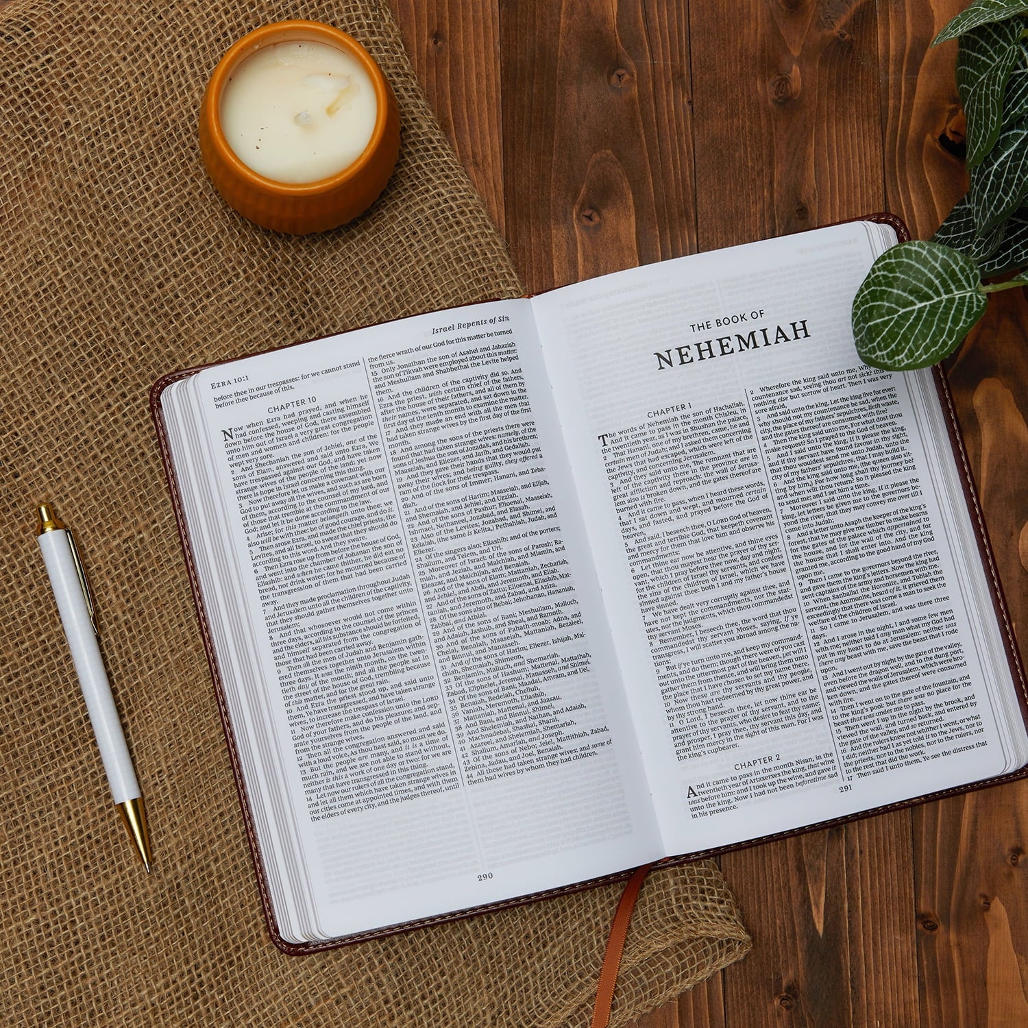 KJV, Deluxe Gift Bible, Imitation Leather, Black, Red Letter Edition (Hardcover)