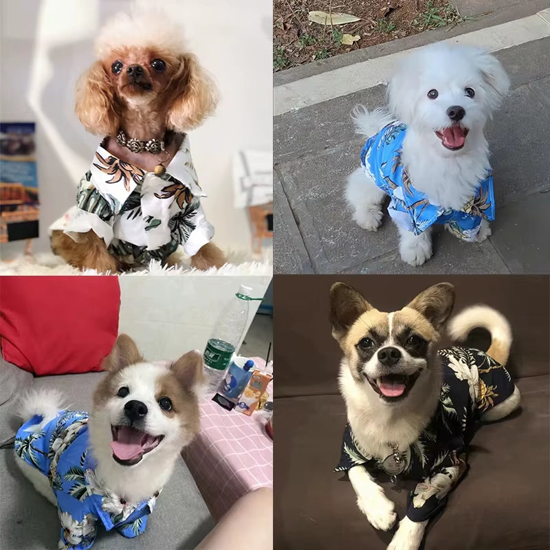 Small and Medium-Sized Dog Beach Pineapple Shirt Hawaiian Pet Dog Cat Golden Retriever Spring and Summer Season Clothing